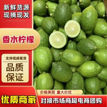 二级广东香水柠檬无籽，产地直发，货源稳定，靓绿果香