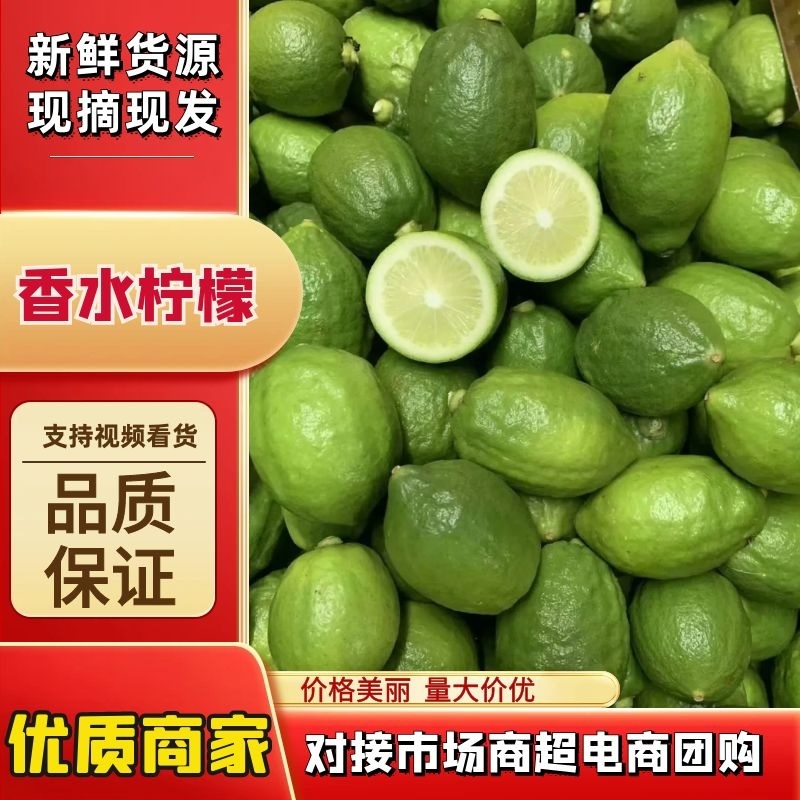 【一件代发】香水柠檬无籽，广东香水柠檬顺包邮全国产地对接