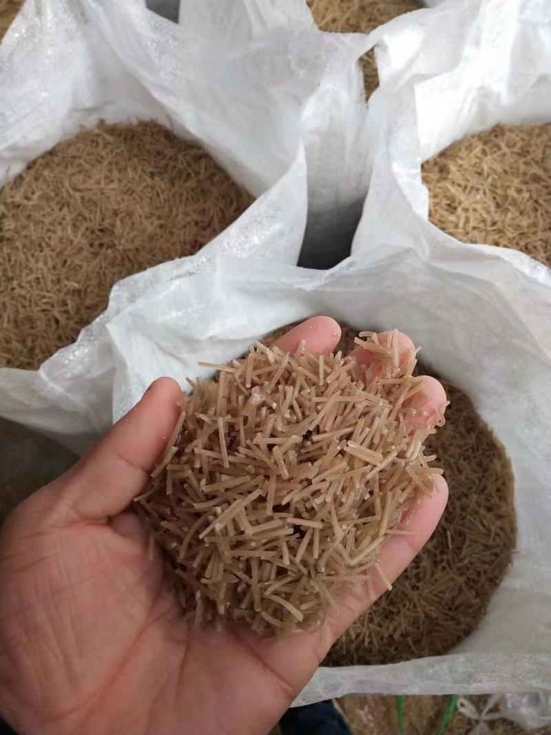 河南厂家直销精品木薯粉条一手货源品质保障对接全国客商