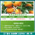 5%阿维菌素正品农用杀虫剂柑橘树红蜘蛛专用农药不伤果面