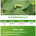 9.7%甲维虱螨脲正品高含量农用杀虫剂蔬菜甜菜夜蛾批发