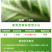 21.3%甲维丁醚脲正品农用杀虫剂蔬菜小菜蛾专用农药批发