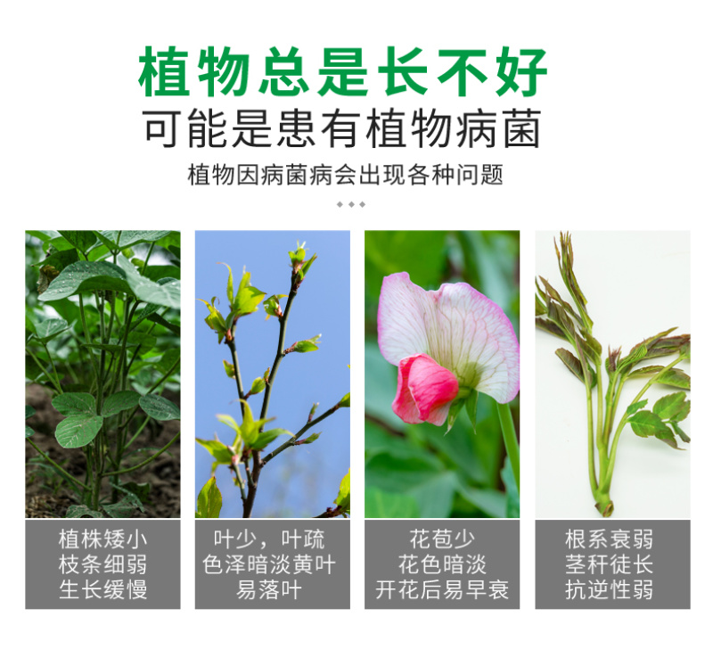 25%吡唑醚菌酯正品农用杀菌剂真菌霜霉病白粉病厂家直销