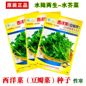 西洋菜豆瓣菜种子，水陆两生水芥菜，耐热耐寒，多次采收