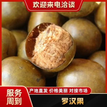 【精选】广西永福县罗汉果果仁泡茶做调料对接电商