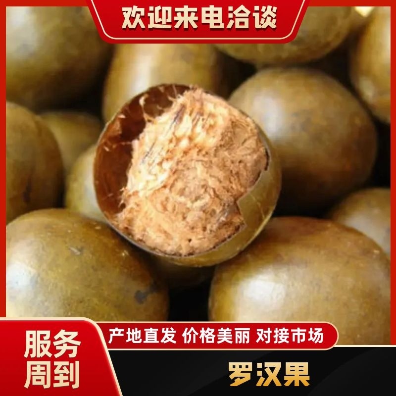 【精选】广西永福县罗汉果果仁泡茶做调料对接电商