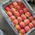 糖心红富士苹果甜度15以上保质保量现摘现发规格全价格低