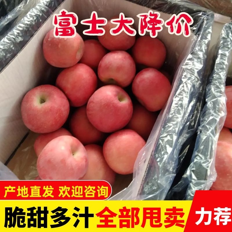 糖心红富士苹果甜度15以上保质保量现摘现发对接各大商超