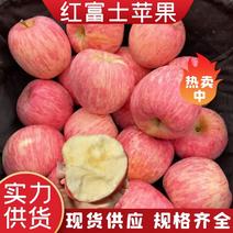 苹果山东红富士苹果冷库货长期供应货源充足品质保证