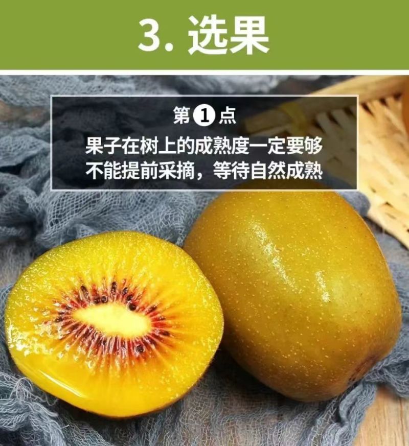 蒲江红心猕猴桃新鲜水果基地果园直供孕妇大果
