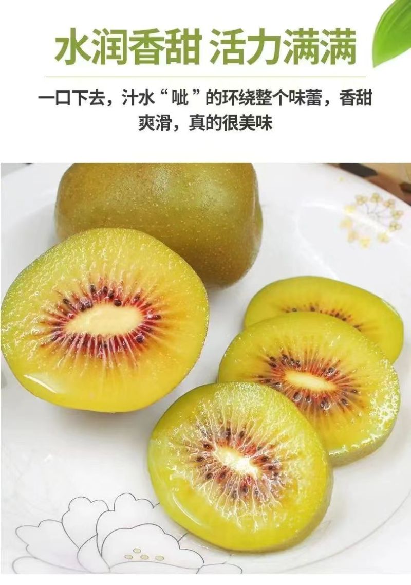 蒲江红心猕猴桃新鲜水果基地果园直供孕妇大果