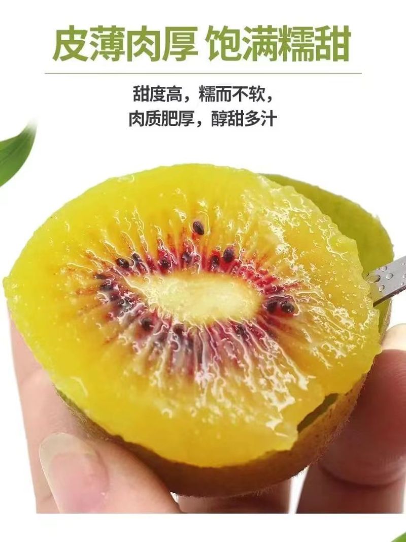 蒲江红心猕猴桃新鲜水果基地果园直供孕妇大果