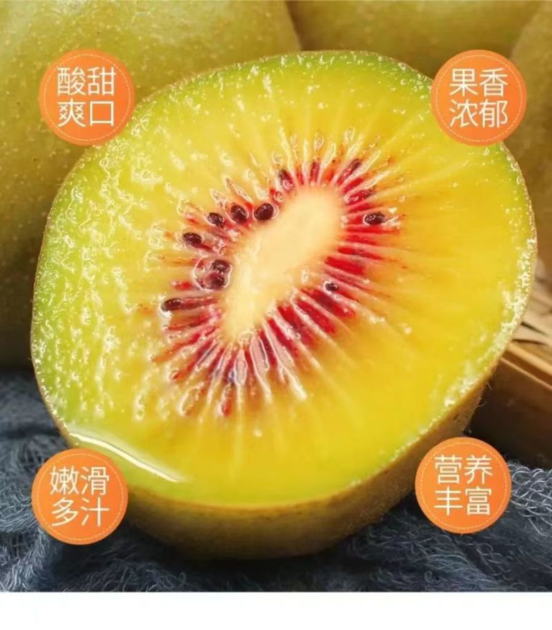 蒲江红心猕猴桃新鲜水果基地果园直供孕妇大果