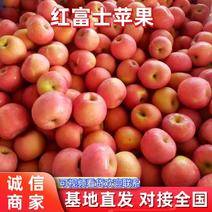 【苹果】山东红富士苹果皮薄多汁冷库直发对接全国市场·