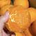 【精选】四川果冻橙-产地直发-价格优惠-可视频看货-直供