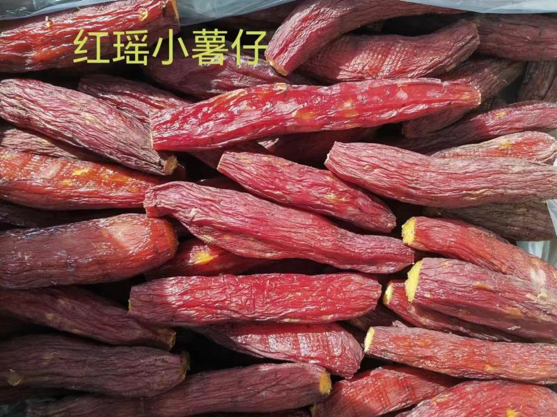 红瑶蜜薯干小薯仔软糯香甜欢迎咨询对接各类客户