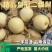【皇冠二级梨】🍐大量现货供应，电商批发零售价格优惠！