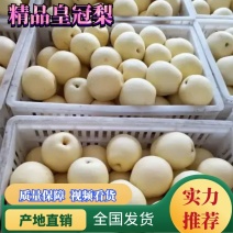 框装80皇冠梨，大量现货供应，适合电商，批发，零售均可！