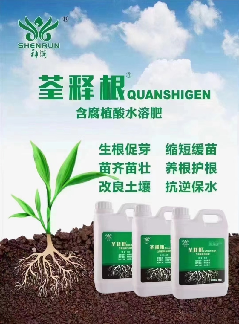 荃释根