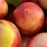 【一手货源】中油油桃黄肉油桃现采现发大吨位供市场批发