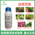 联苯噻虫胺10%杀虫剂蓟马蚜虫跳甲地下害虫等通用花卉