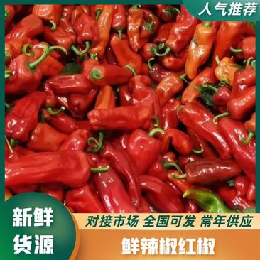 安徽红椒光椒大量上市产地直供量大从优欢迎联系