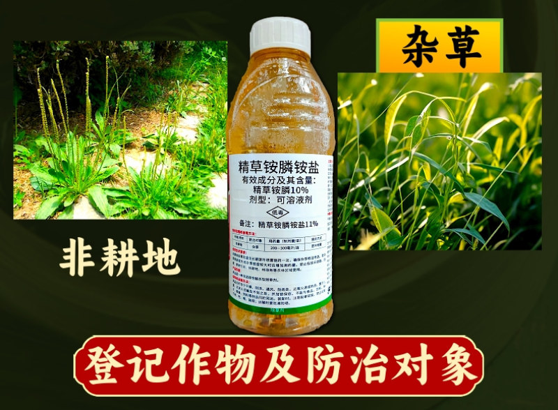 11%精草铵膦铵盐高浓度除草剂果园荒地非耕地除杂草