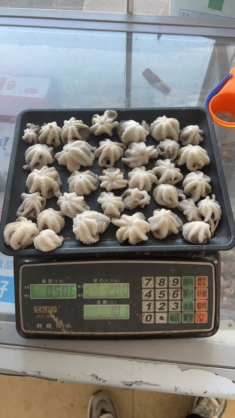 单冻翻花生八爪鱼净重，无冰，纯干原料