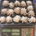 单冻翻花生八爪鱼净重，无冰，纯干原料