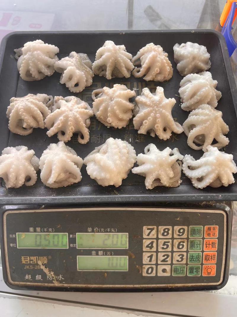 单冻翻花生八爪鱼净重，无冰，纯干原料