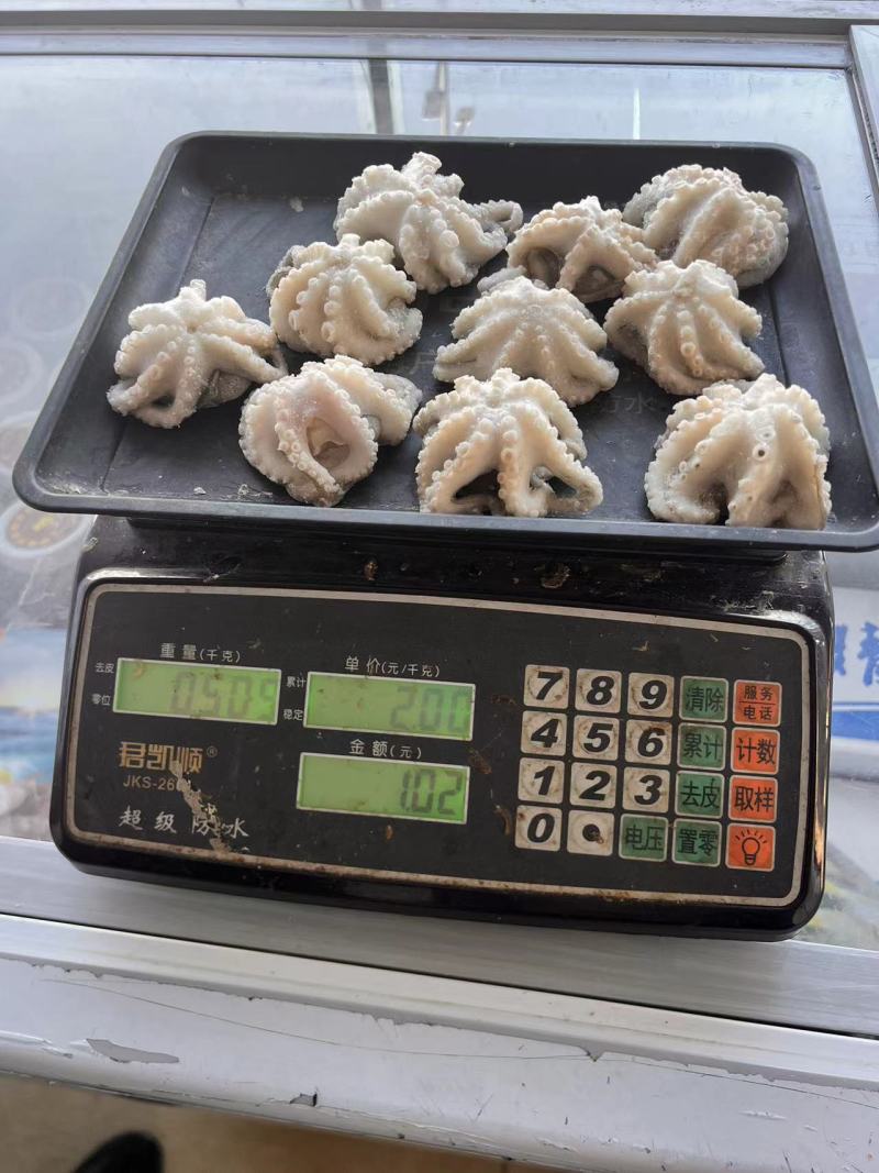 单冻翻花生八爪鱼净重，无冰，纯干原料