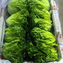 云南精品蔬菜礼包内有多种蔬菜品种规格齐全欢迎前来选购