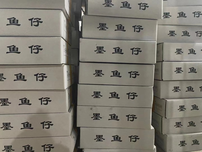 纯干单冻墨鱼仔支持定做免费挂冰衣量大从优欢迎咨询