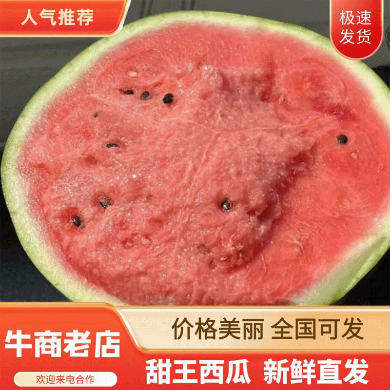 [甜王西瓜批发]陕西渭南蒲城县西瓜 0.30元/斤陕西甜王西瓜产 _ 一亩田