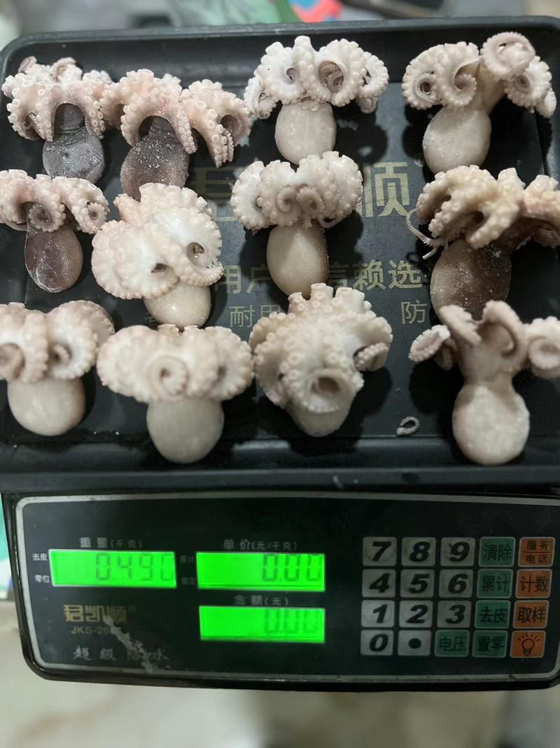 熟冻去脏八爪鱼章鱼大量稳定供货可长期合作欢迎咨询