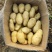 【大量现货】精品实验一土豆黄心土豆产地一手货源稳定供应