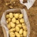 【大量现货】精品实验一土豆黄心土豆产地一手货源稳定供应