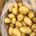 【大量现货】精品实验一土豆黄心土豆产地一手货源稳定供应