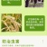 辛硫磷颗粒剂专杀地下害虫蝼蛄蛴螬地老虎地蛆等