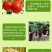 阿维菌素寡糖噻唑膦套装防治根结线虫