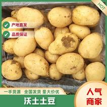 【基地好货】实验1，沃土土豆品种齐全大吨位供应市场