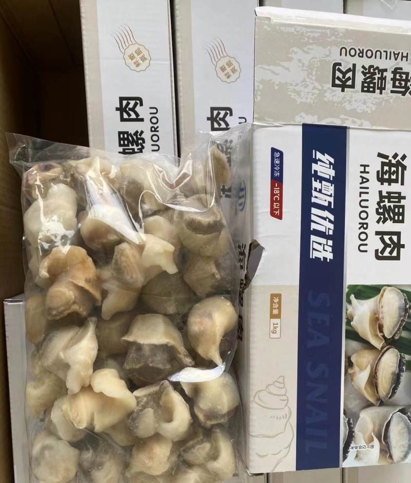 精品海螺肉20斤装品质保证全国可发货量大从优