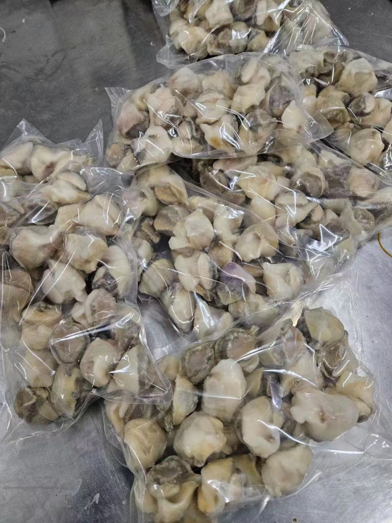 精品海螺肉20斤装品质保证全国可发货量大从优