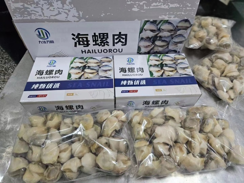 精品海螺肉20斤装品质保证全国可发货量大从优