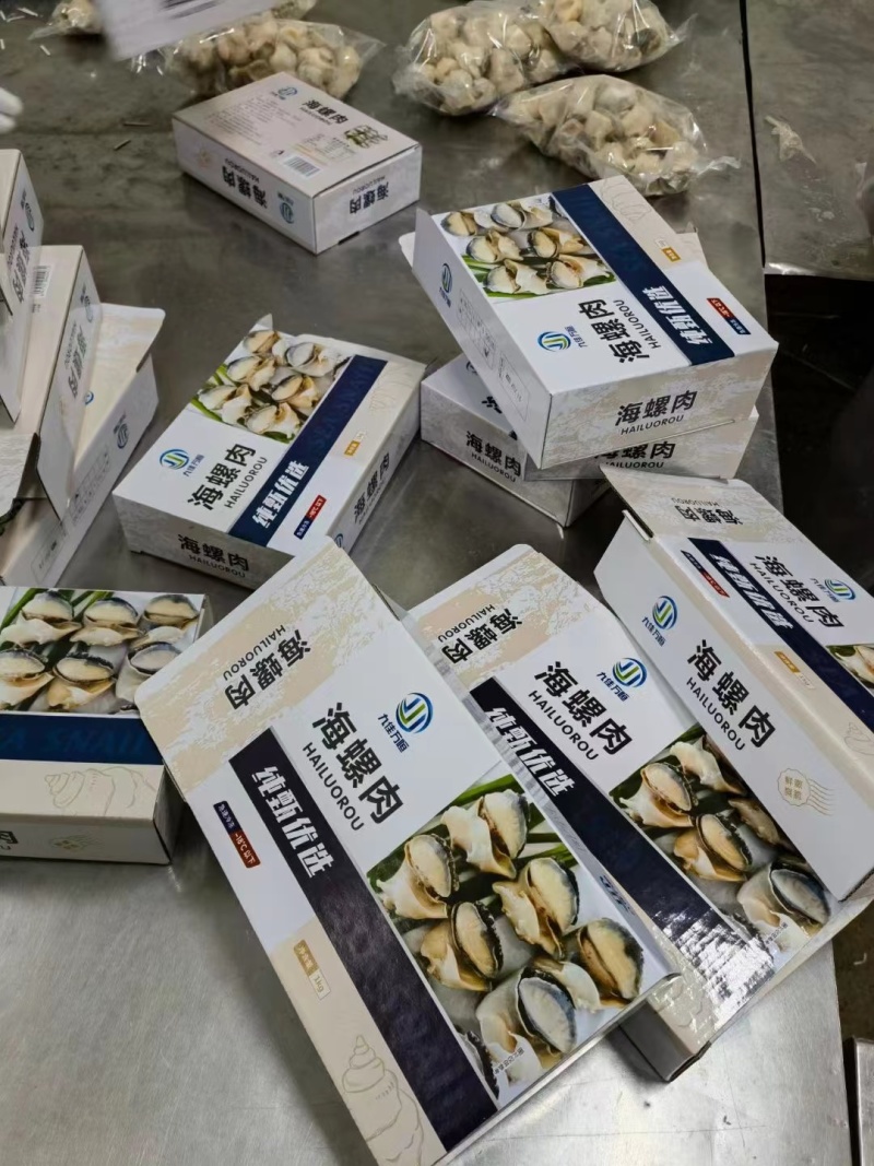 精品海螺肉20斤装品质保证全国可发货量大从优