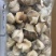 精品海螺肉20斤装品质保证全国可发货量大从优