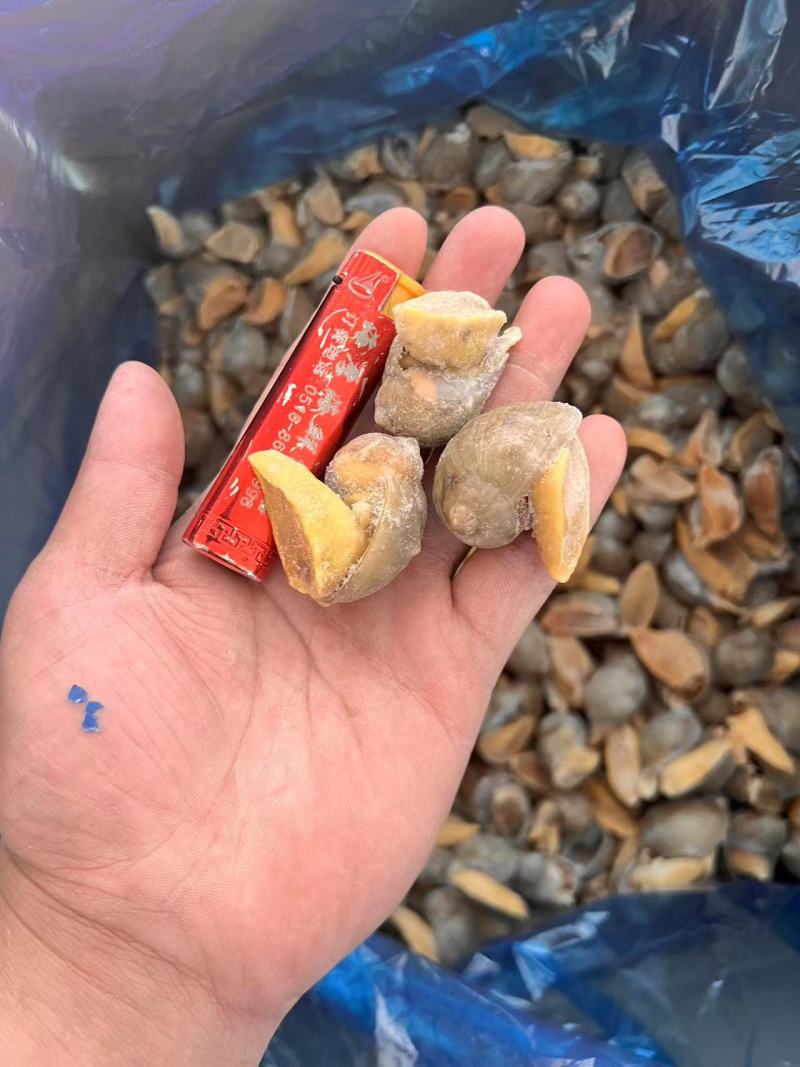 无冰海螺老婆脚规格齐全对接全国市场量大从优