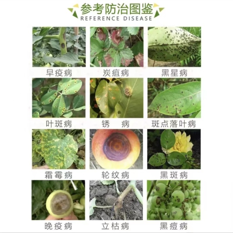 施普德杀菌剂65%代森锌早疫病炭疽病叶斑病黑斑病煤污病等