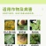 果优40%克菌丹杀菌剂斑点落叶病轮纹病树脂等真菌性病害