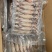 籽乌海兔大量供应品质新鲜货源充足量大从优